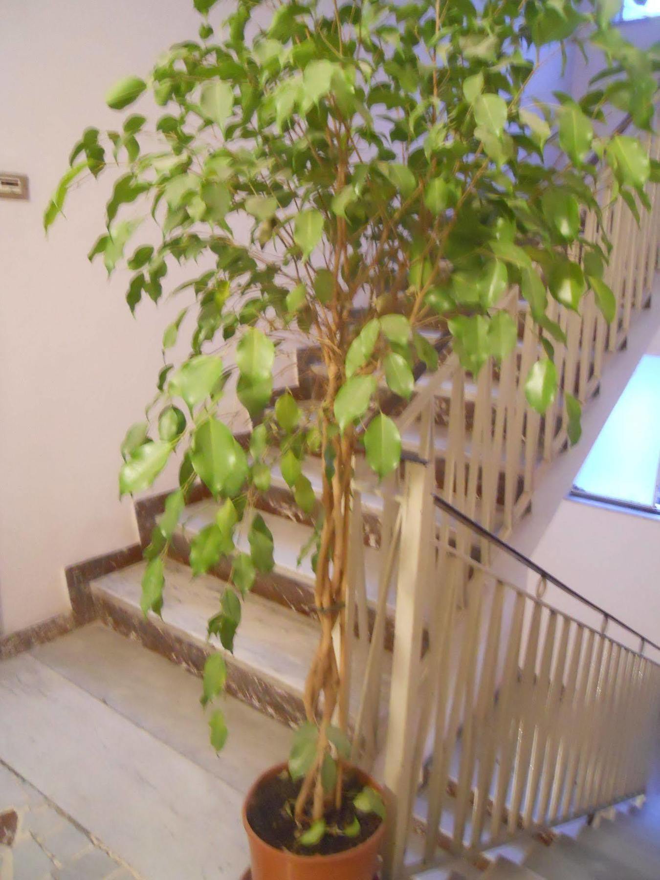 Catania Crossing B&B - Rooms & Comforts Esterno foto